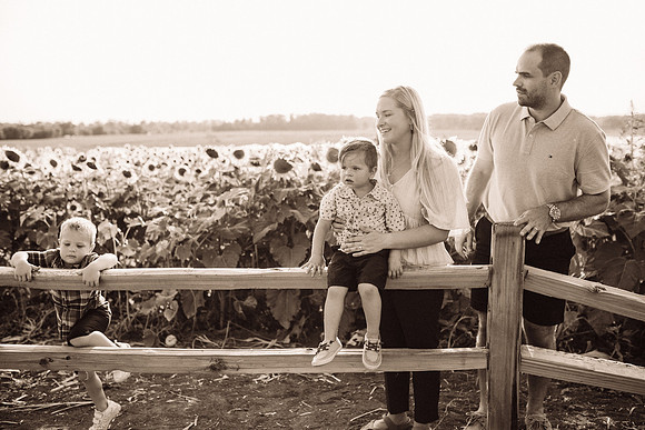 xSunflowers-177