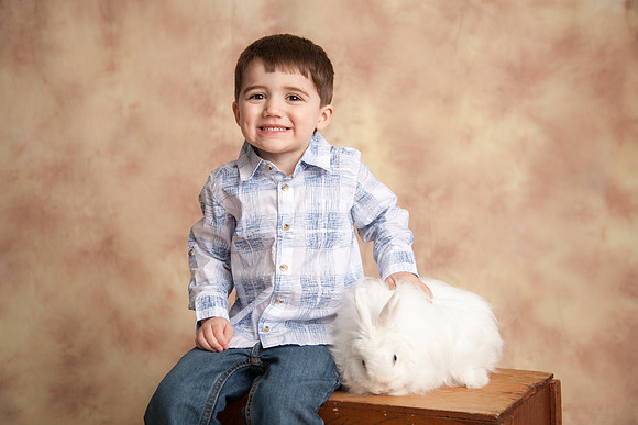 Bunny-2016-22