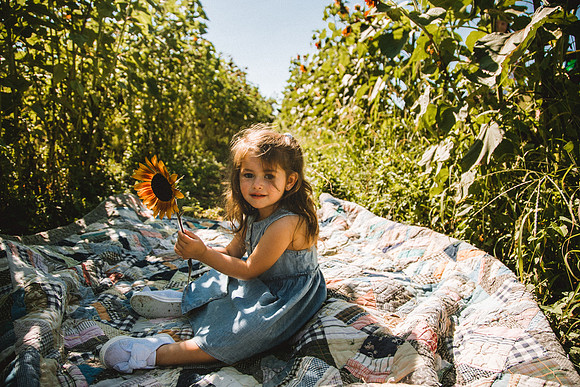 Sunflowers-43