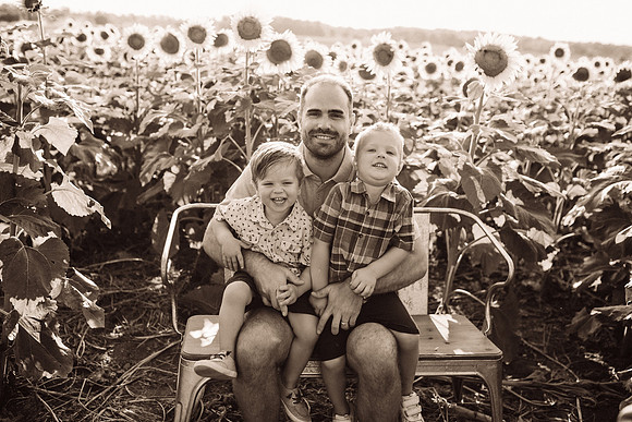 xSunflowers-100