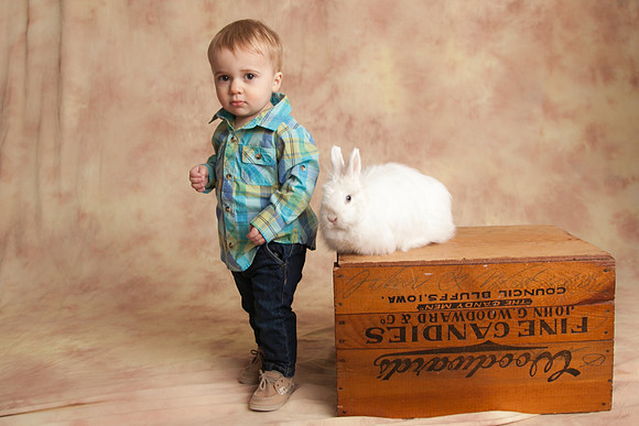 Bunny-2016-34