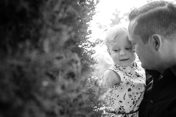 Family 2017-290
