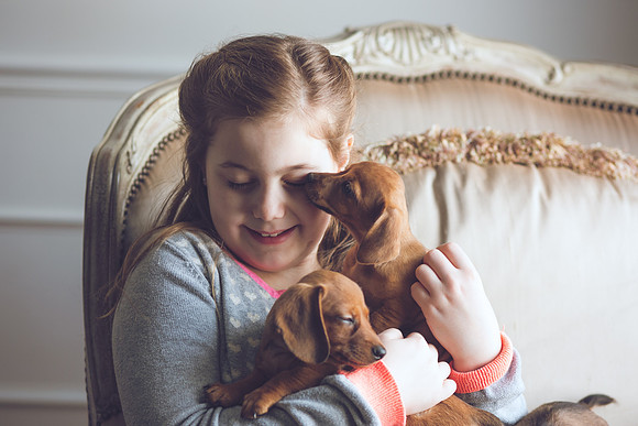Puppies_-37