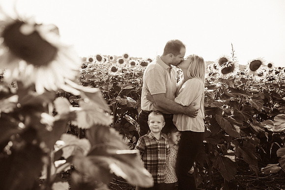 xSunflowers-5