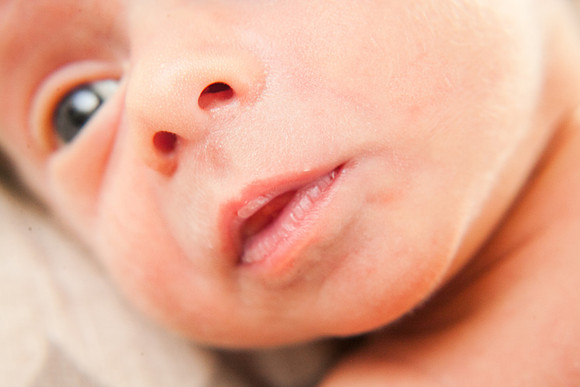 Cora Lynn Newborn-59