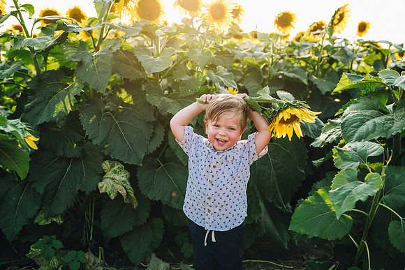 Sunflowers-213