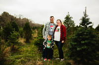 Tree Farm 2020-17