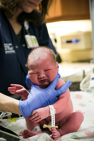 Matthew Birth-355