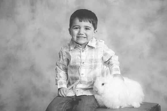 Bunny-2016-72