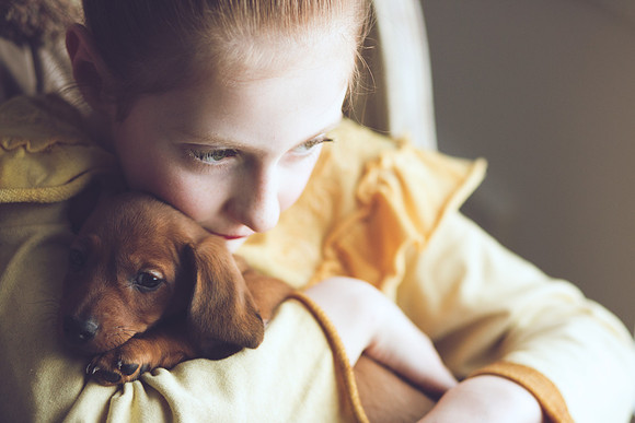 Puppies_-39