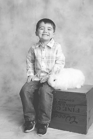 Bunny-2016-67