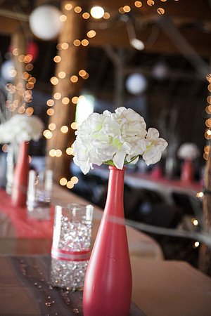 Wedding (387 of 2031)