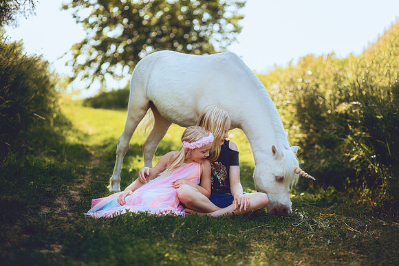 Unicorn-23