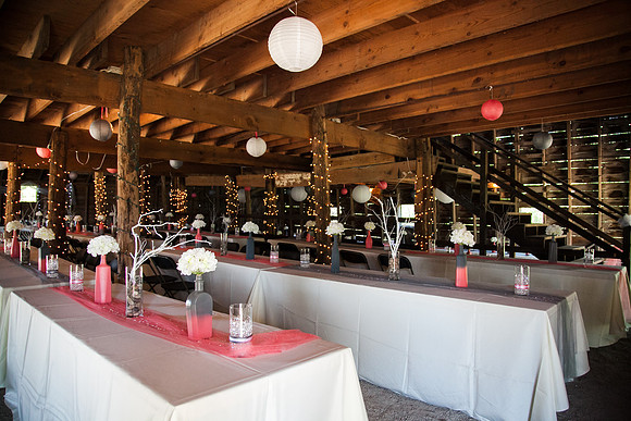 Wedding (383 of 2031)