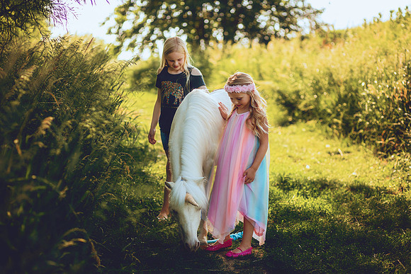 Unicorn