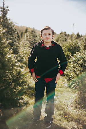 Tree Farm-62
