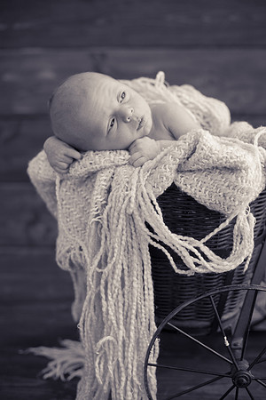 Quinn Newborn B&W-26