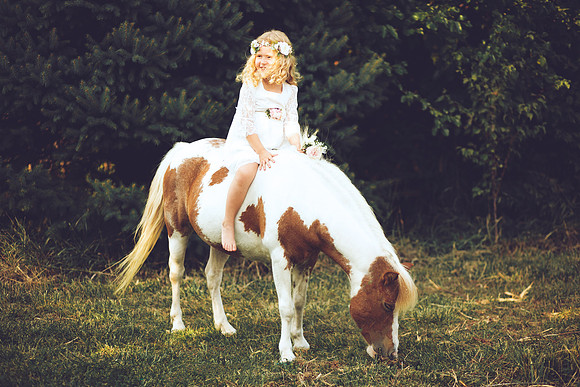Unicorn-29