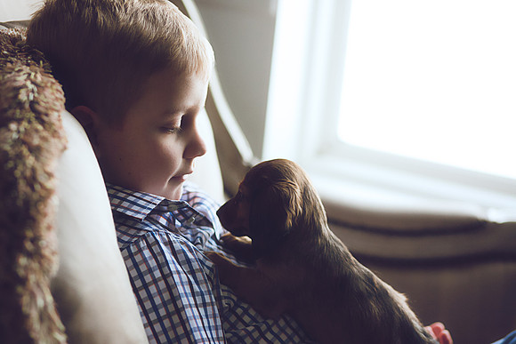 Puppies_-23