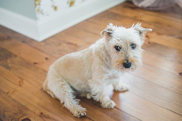 Pippa 5yr-58