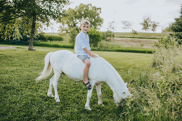 Unicorn 2021-34
