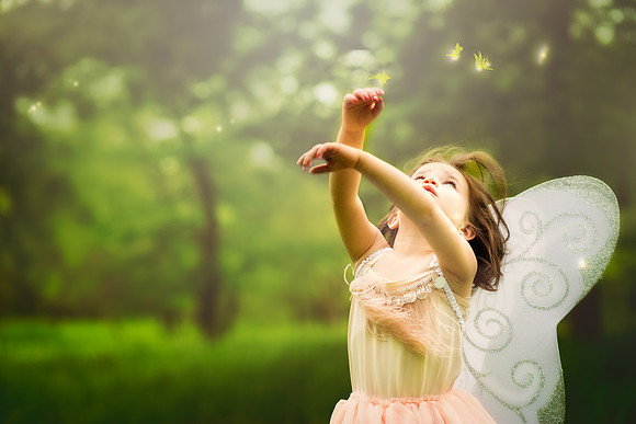 Fairy 2019-23