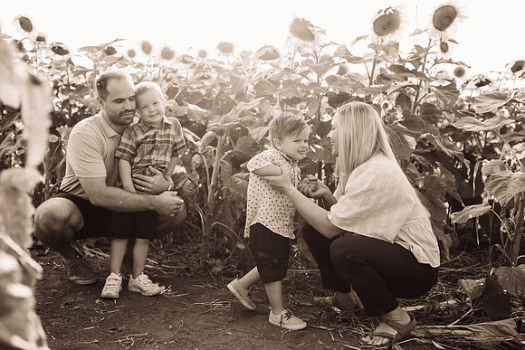 xSunflowers-26