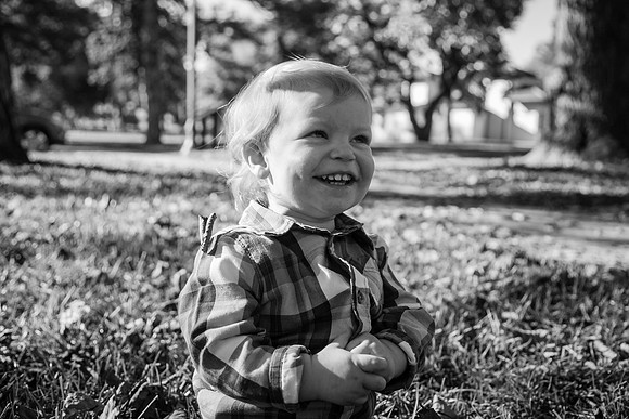 Family 2017-268