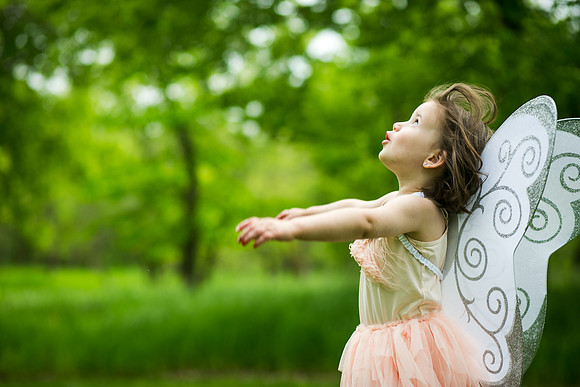 Fairy 2019-22