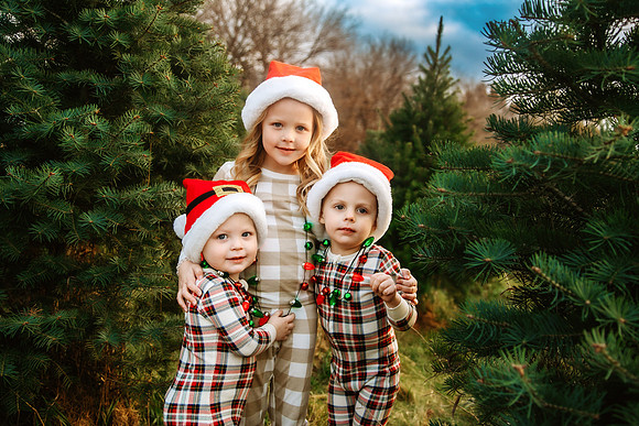 Tree Farm 2024-29
