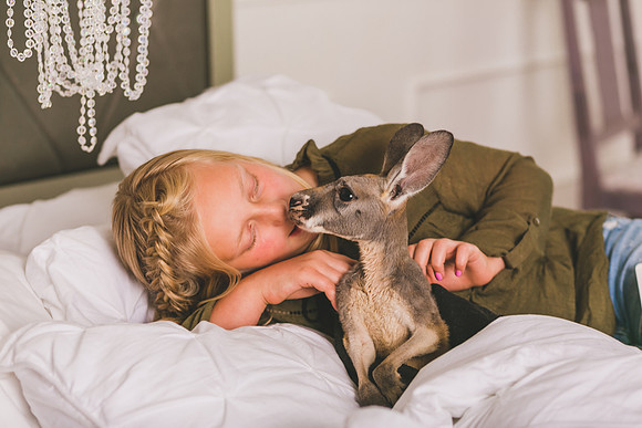 xWildlife 2019-43
