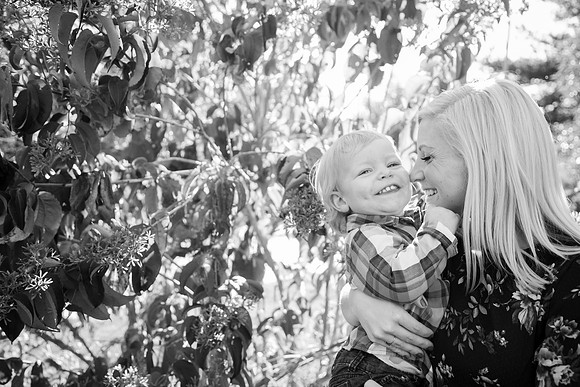 Family 2017-232