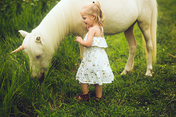 Unicorns 2019-24