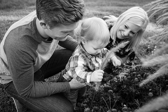 Family 2017-246