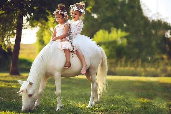 Unicorn-14