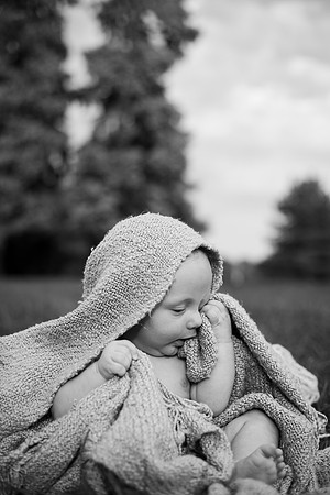 Quinn 4mth-61