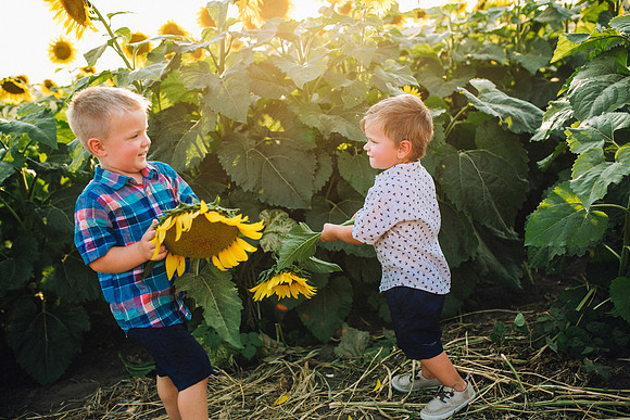 Sunflowers-202