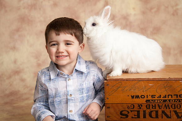 Bunny-2016-28