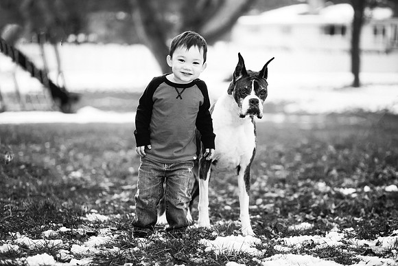 xPuppies 2020-30