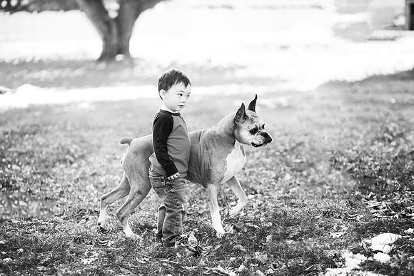 xPuppies 2020-18
