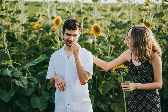 Sunflowers 2021-38