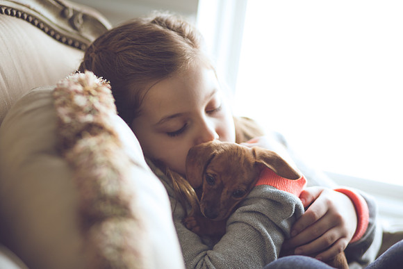 Puppies_-43