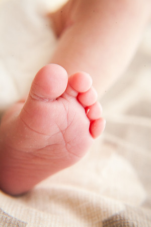 Cora Lynn Newborn-55