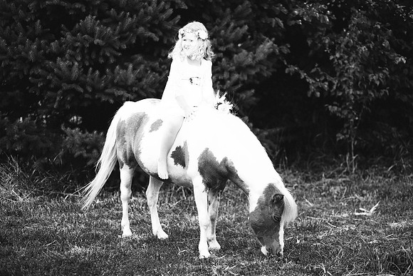 xUnicorn-29