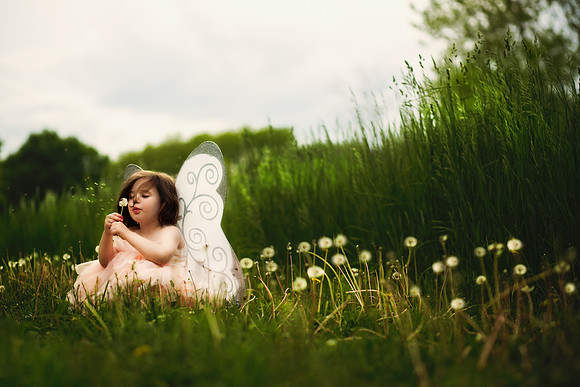 Fairy 2019-44