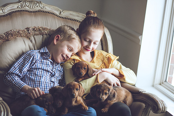 Puppies_-27