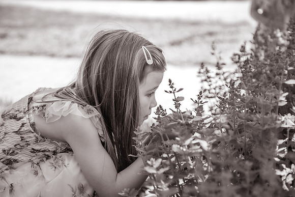 xSpring 2025-87