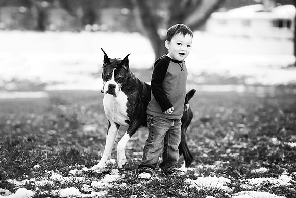 xPuppies 2020-32