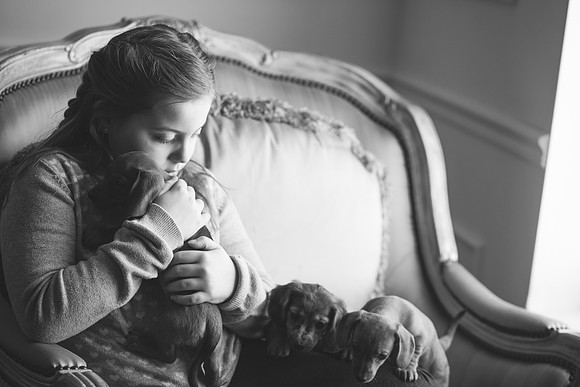 Puppies_-71