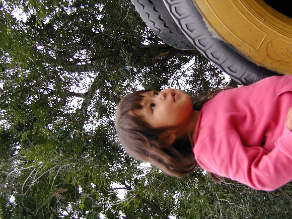 P8130233